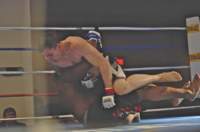ttt17_01302010dd_small.jpg