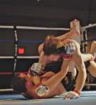 ttt195_01302010_small.jpg