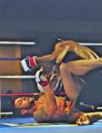 ttt229_01302010_small.jpg