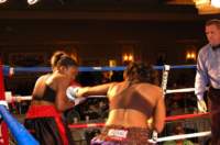 dsc_0317_small.jpg