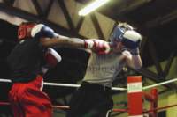 tttscgoldengloves45_small.jpg