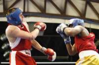 tttscgoldengloves46_small.jpg