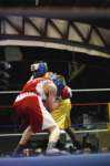 tttscgoldengloves47_small.jpg
