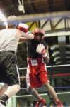 tttscgoldengloves52_small.jpg