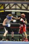 tttscgoldengloves53_small.jpg