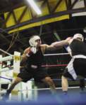 tttscgoldengloves65_small.jpg