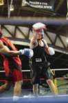 tttscgoldengloves82_small.jpg