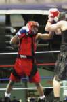 tttscgoldengloves84_small.jpg
