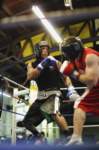 tttscgoldengloves94_small.jpg