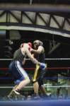 tttscgoldenglovesx33_small.jpg