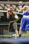 tttscgoldenglovesx44_small.jpg