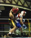 tttscgoldenglovesx456_small.jpg